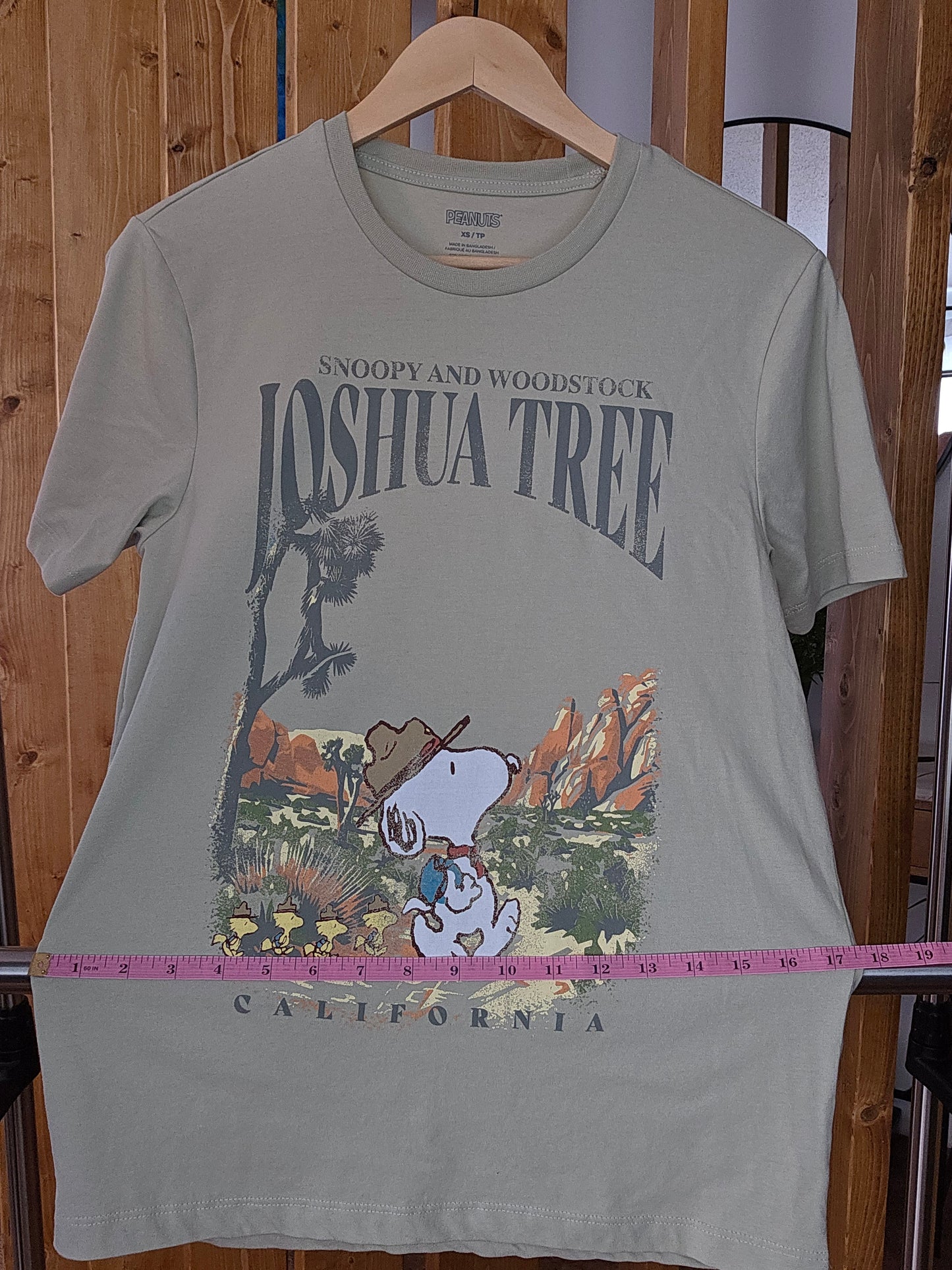 Green Snoopy Joshua Tree