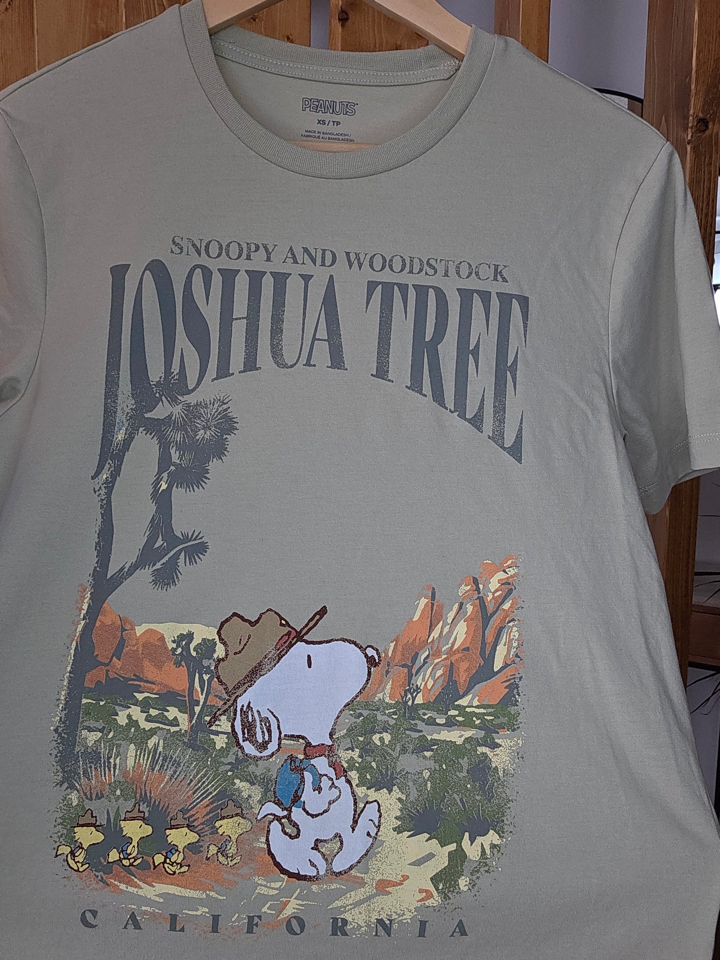 Green Snoopy Joshua Tree