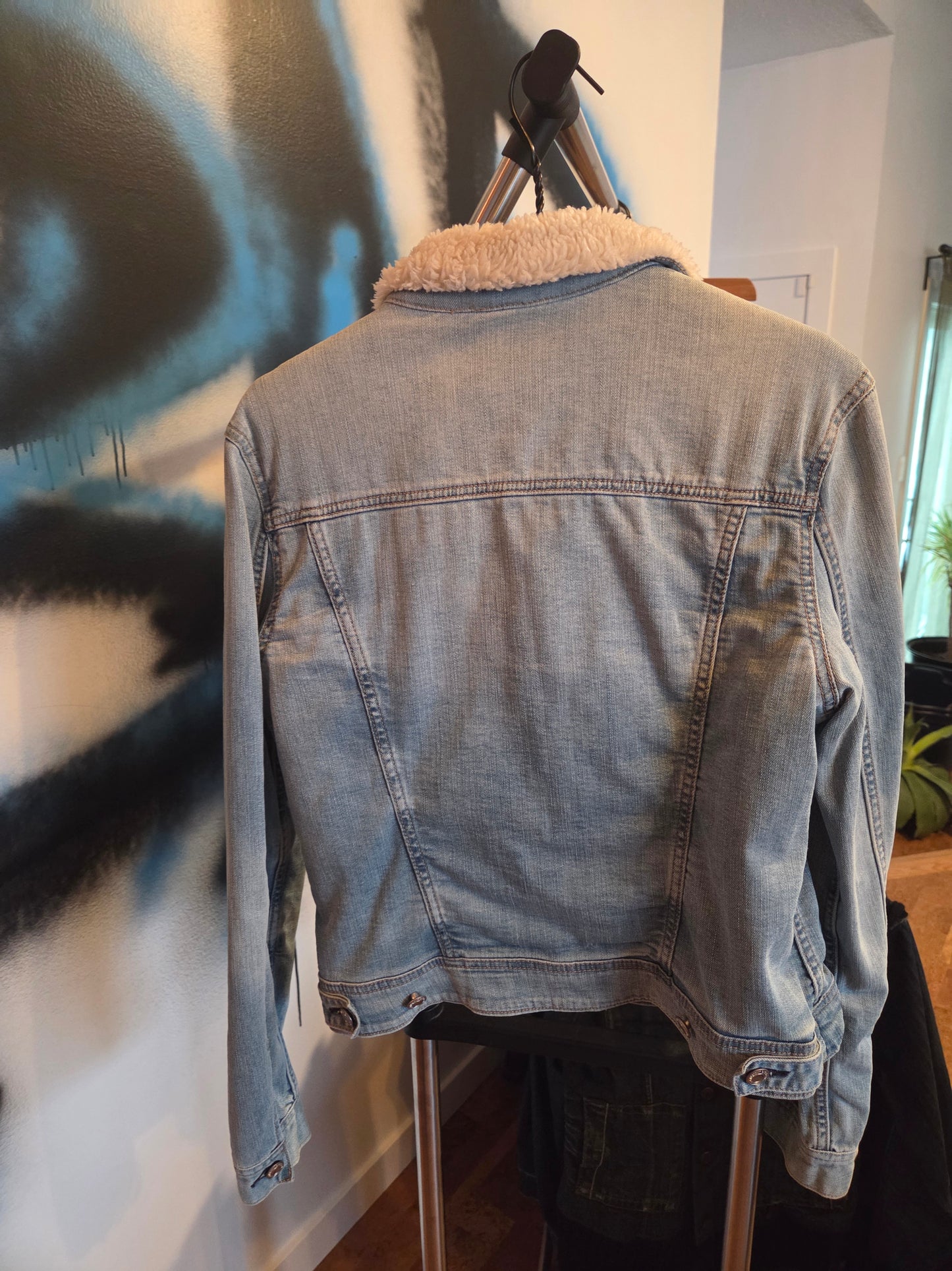 Jean Jacket womens lined