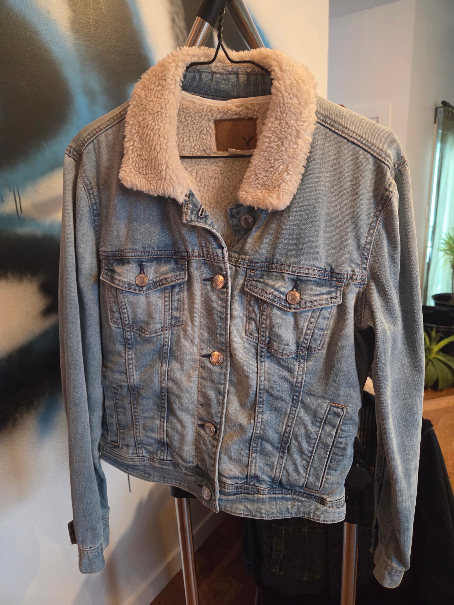 Jean Jacket womens lined
